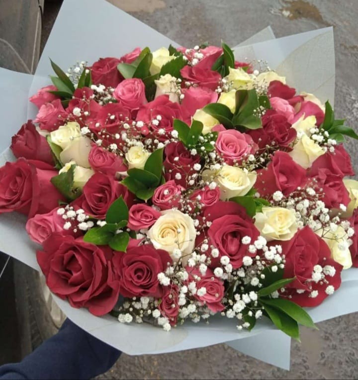Absolute blend Rose's